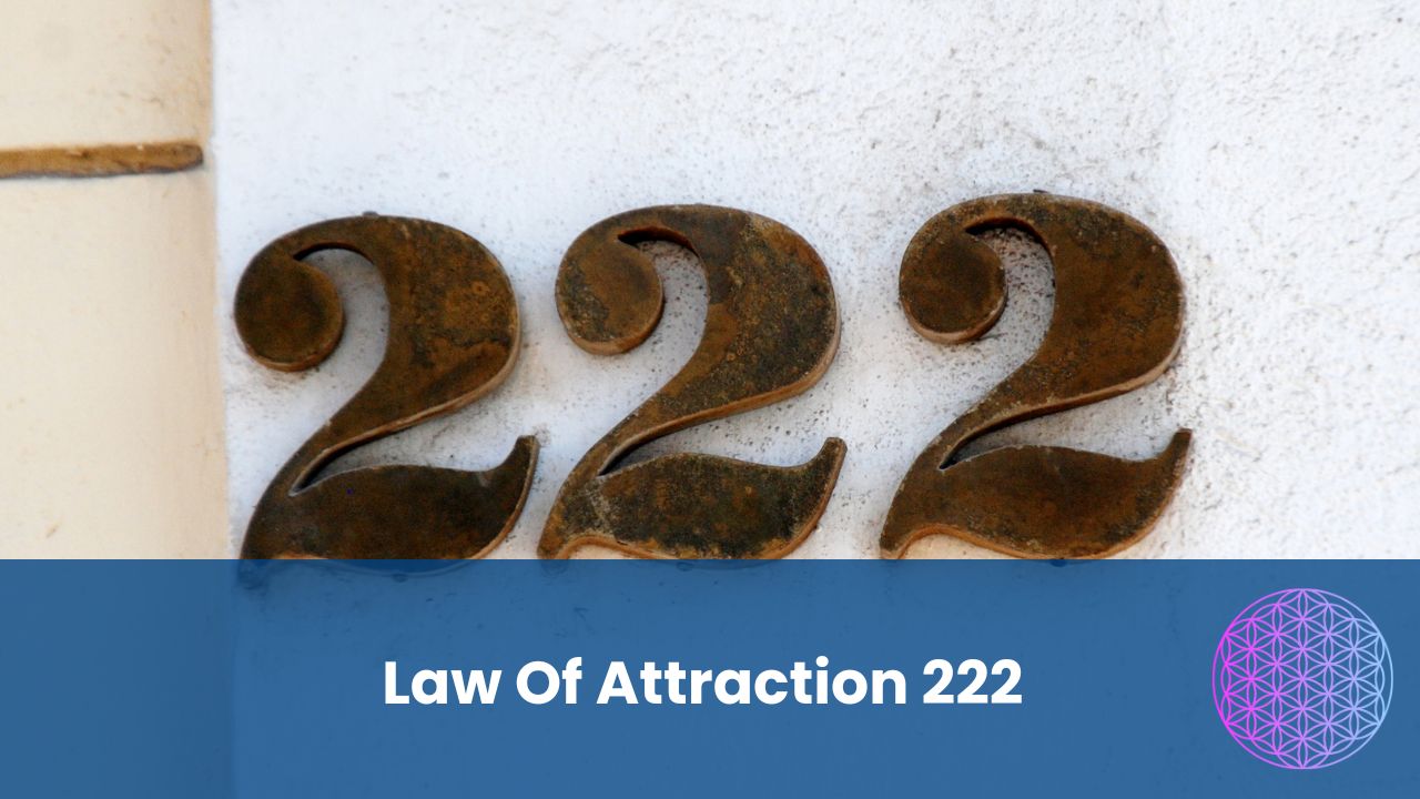 Law Of Attraction 222