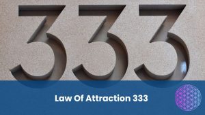 Law Of Attraction 333