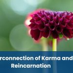 Interconnection of Karma and Reincarnation